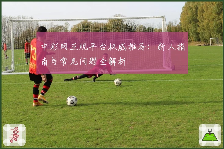 中彩网正规平台权威推荐：新人指南与常见问题全解析