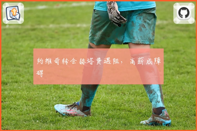 约维奇转会赫塔费遇阻,高薪成障碍