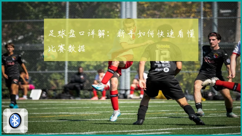 足球盘口详解：新手如何快速看懂比赛数据