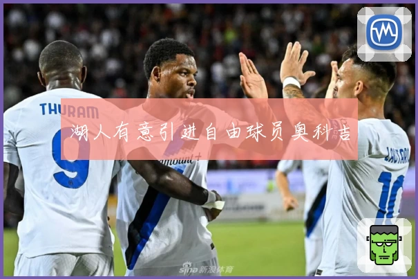 湖人有意引进自由球员奥科吉