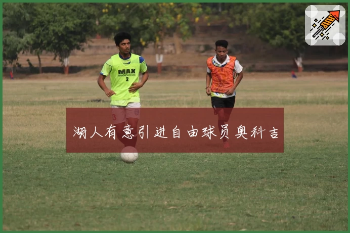 湖人有意引进自由球员奥科吉
