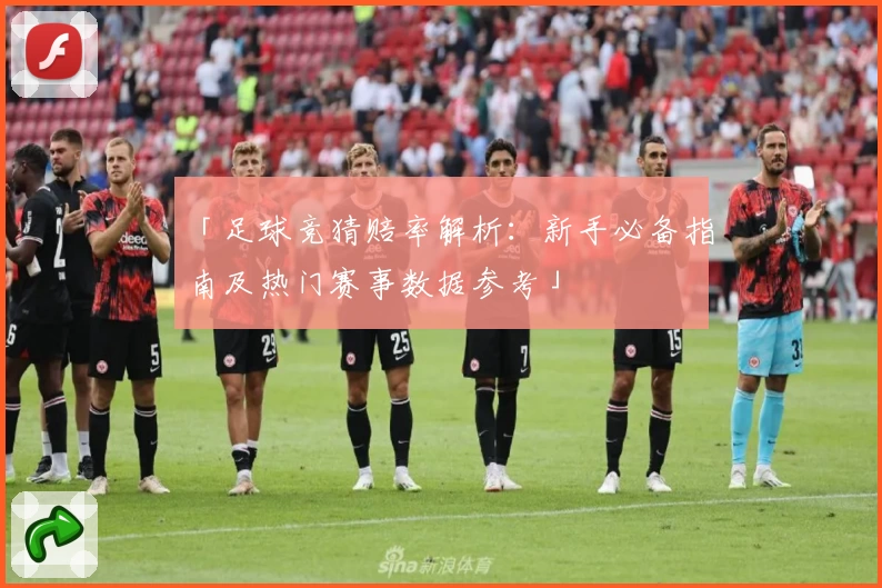 「足球竞猜赔率解析：新手必备指南及热门赛事数据参考」